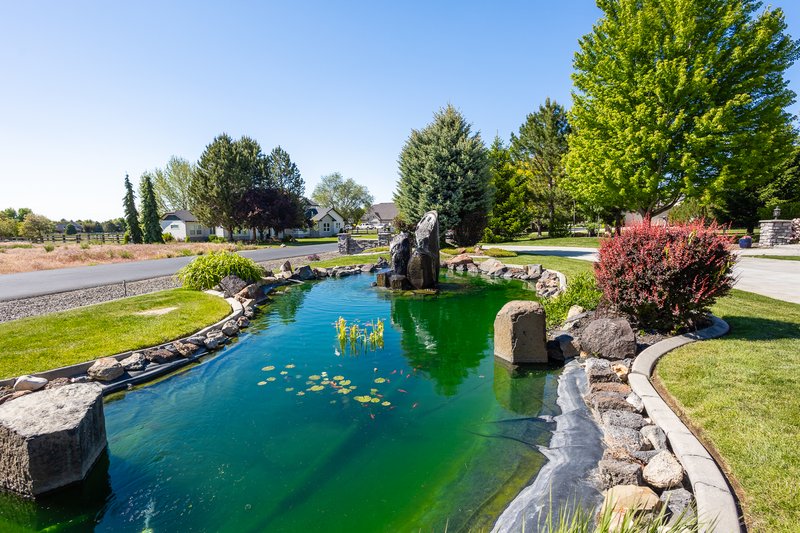Koi pond and cascading water feature